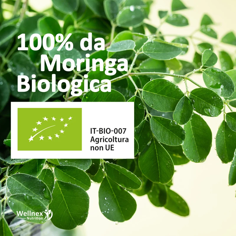 Moringa Oleifera 360mg - 90 Capsule Gastroresistenti
