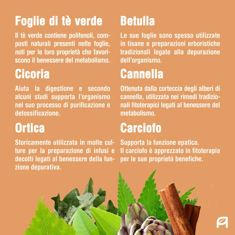 Vita Slim | Extra drenante Vegetale 50ml