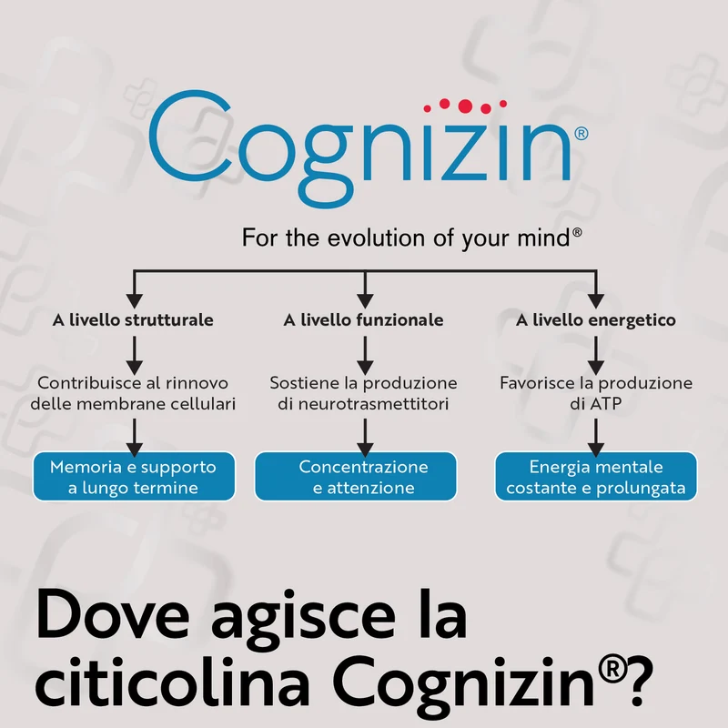 Citicolina Cognizin
