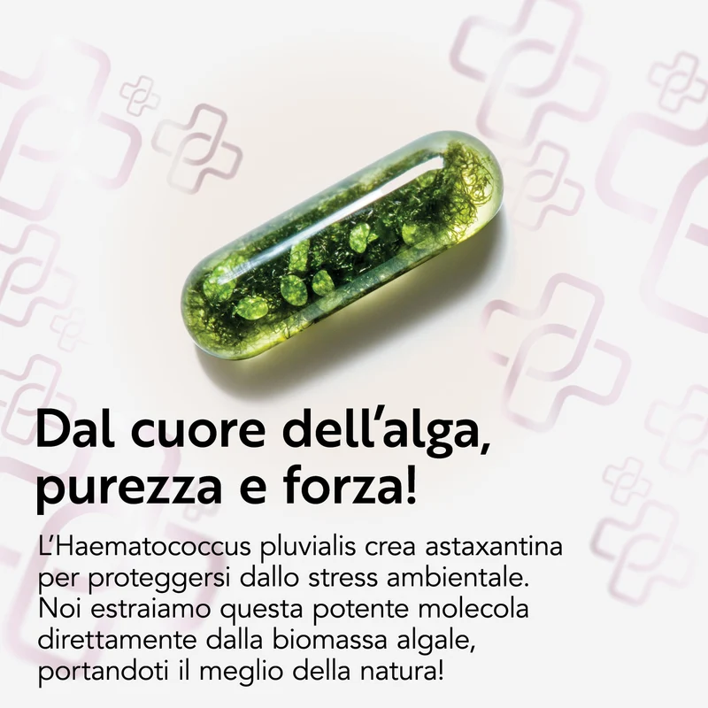 Astaxantina