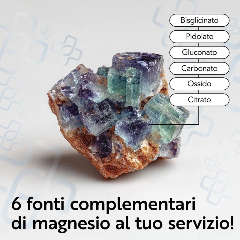 Magnesio Completo