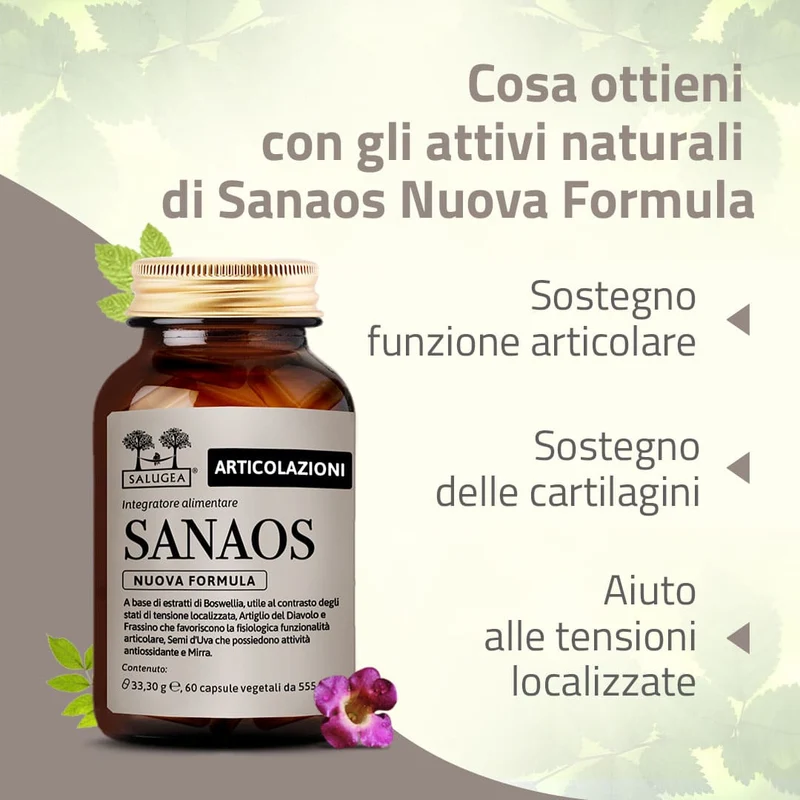Percorso Menopausa e Ossa