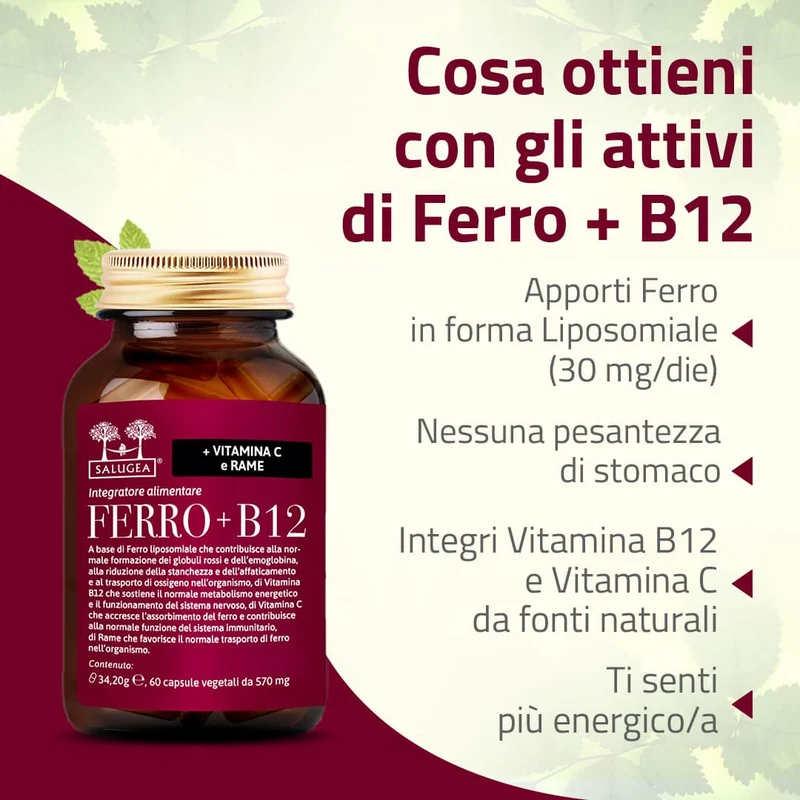 Percorso Gravidanza e Allattamento