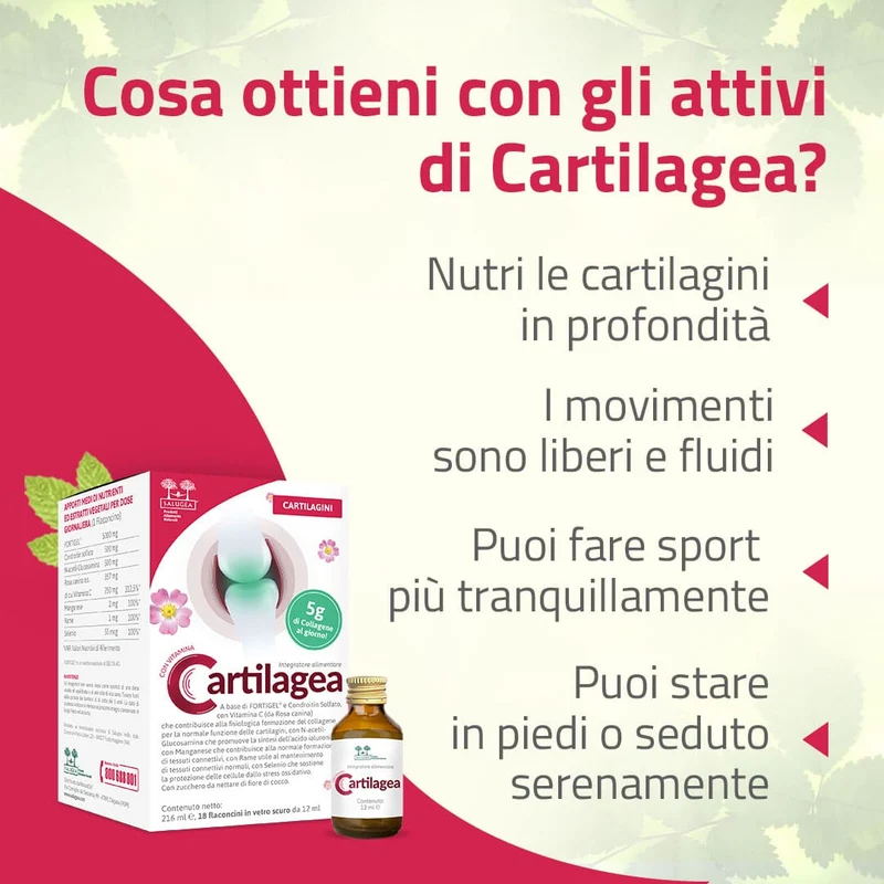 Percorso Cartilagini Tendini e Legamenti