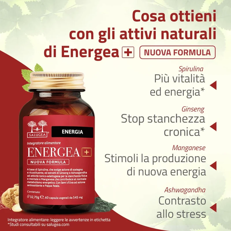 Percorso Energia Più