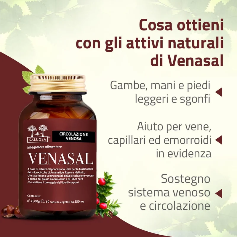 Percorso Vene e Circolazione