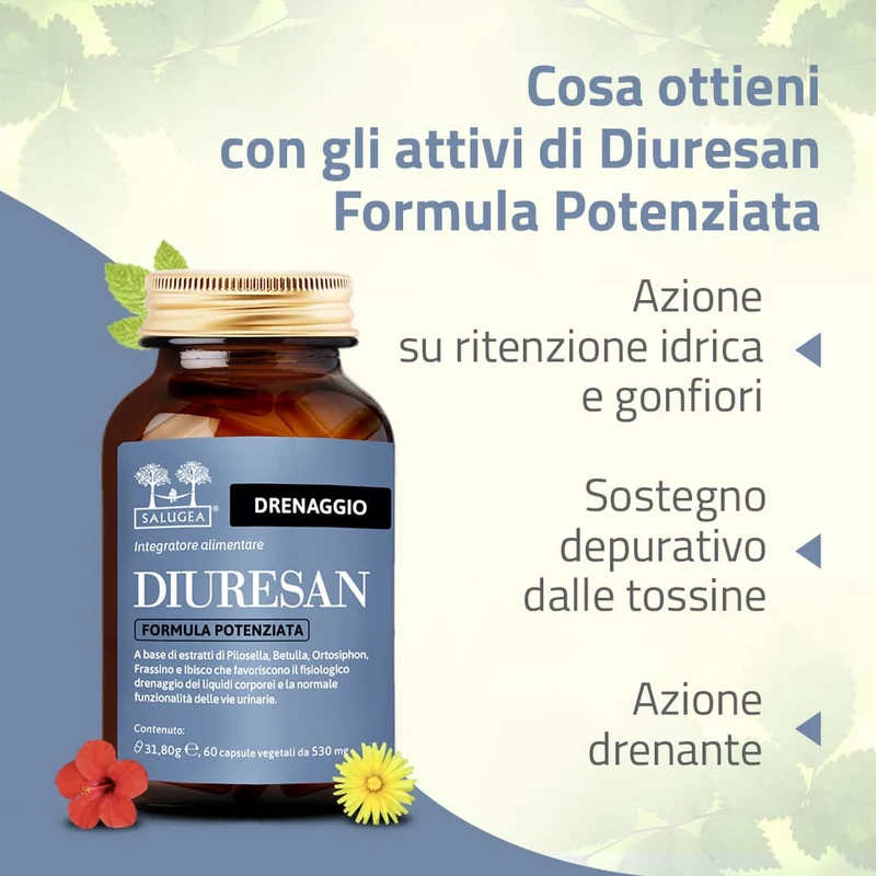 Percorso Vene e Circolazione