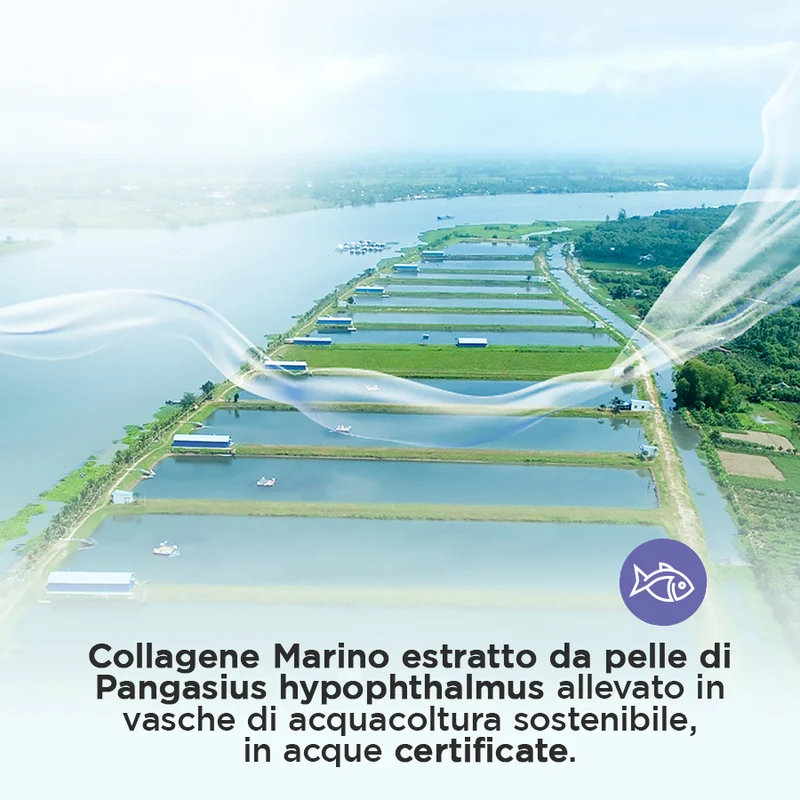Collagene Marino Idrolizzato Tipo I in Polvere, 250 g, 100 Dosi