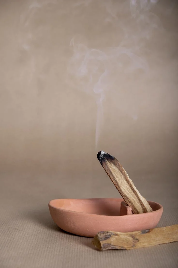 Palo santo Incenso Naturale 1 Bastoncino