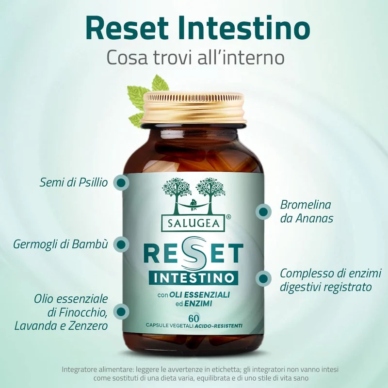 Reset Intestino