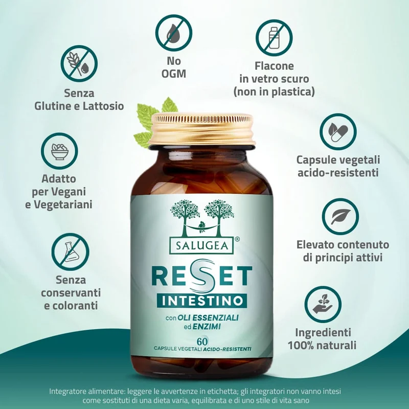 Reset Intestino