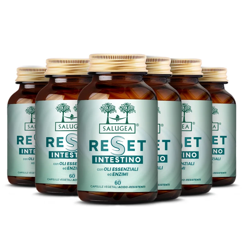 Reset Intestino