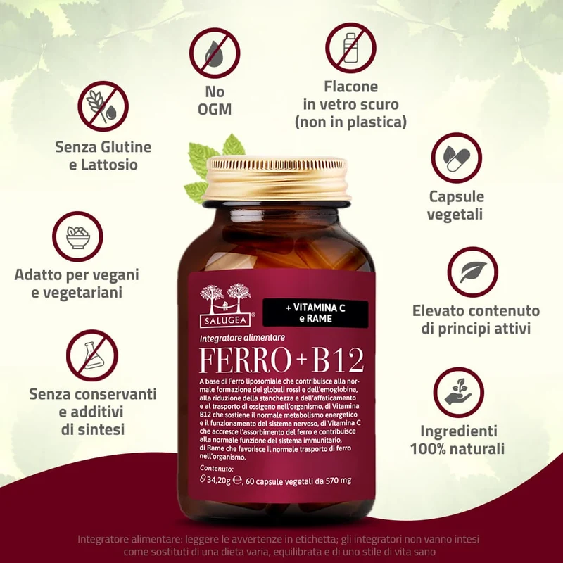 Ferro + B12