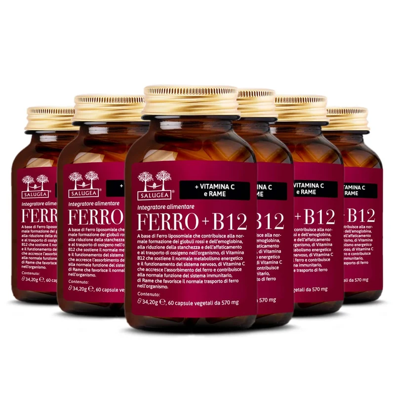 Ferro + B12