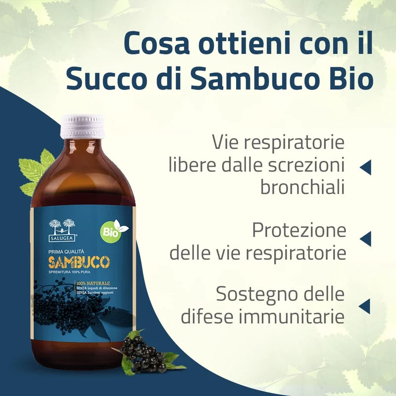 Succo di Sambuco Bio