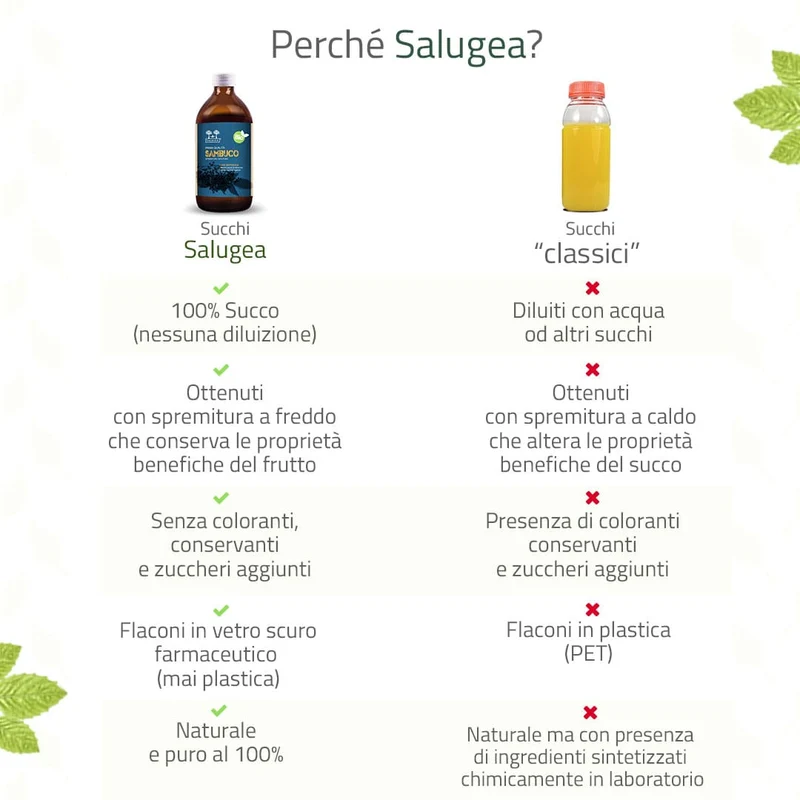 Succo di Sambuco Bio