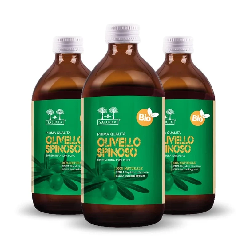 Succo di Olivello Spinoso Bio