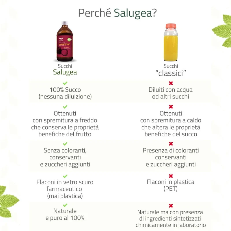 Succo di Mangostano Bio