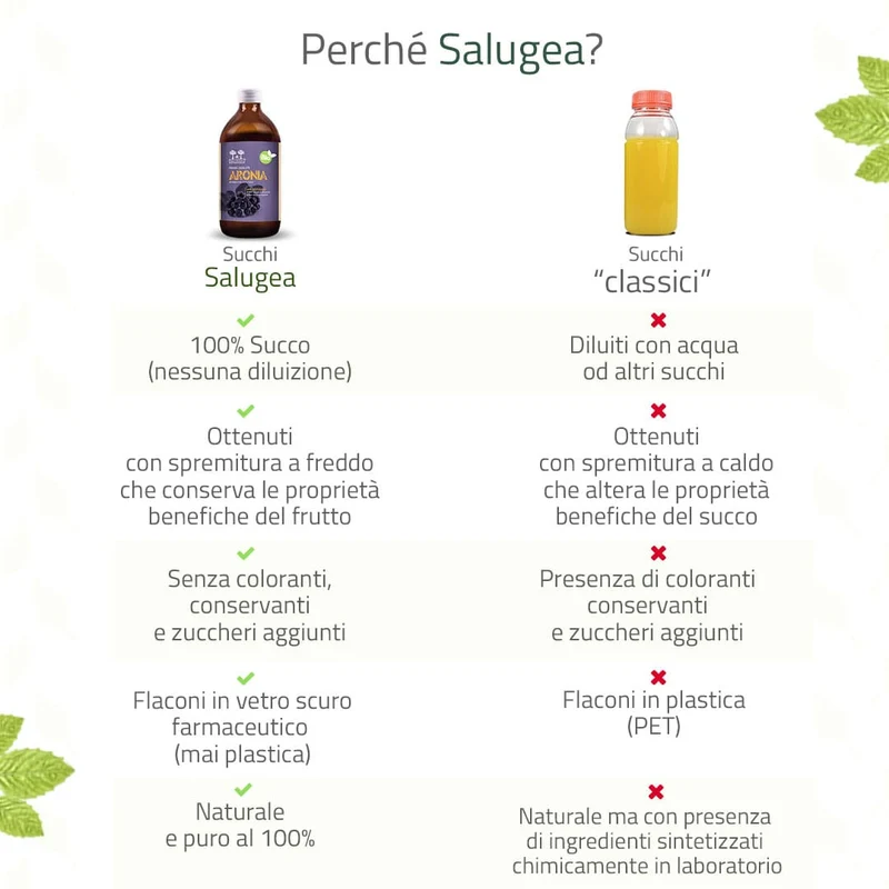 Succo di Aronia Bio
