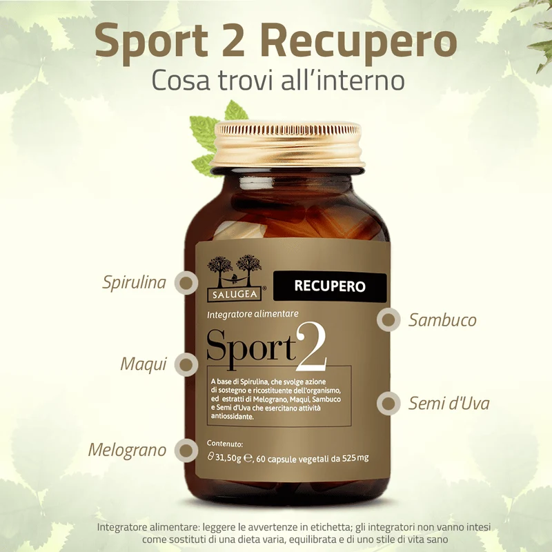 Sport 2 Recupero