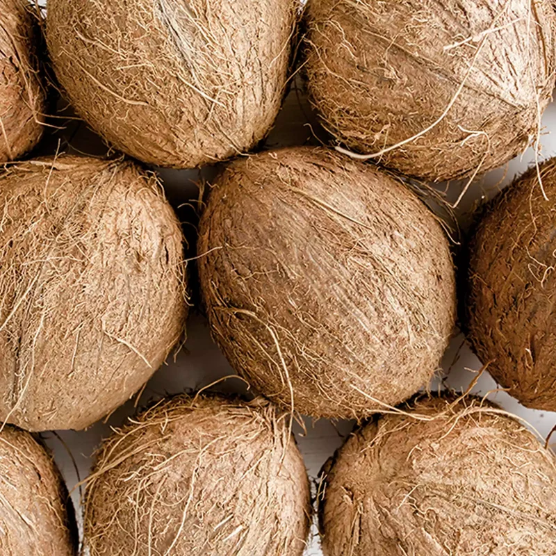 Crema di Arachidi al Cocco 400g