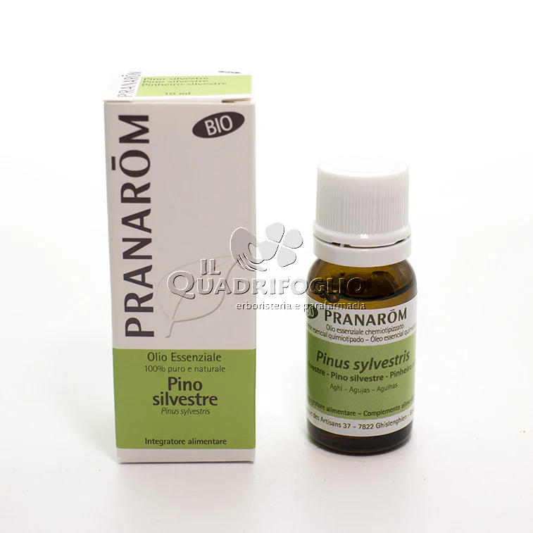 Olio essenziale di Pino silvestre