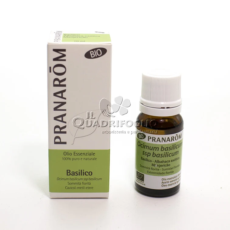 Olio essenziale di Basilico