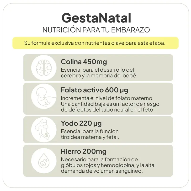 Ivb Wellness Lab Gestanatal, 60 capsules