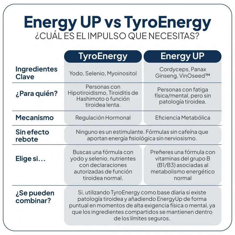 Ivb Wellness Lab Energy Up, 60 cápsulas
