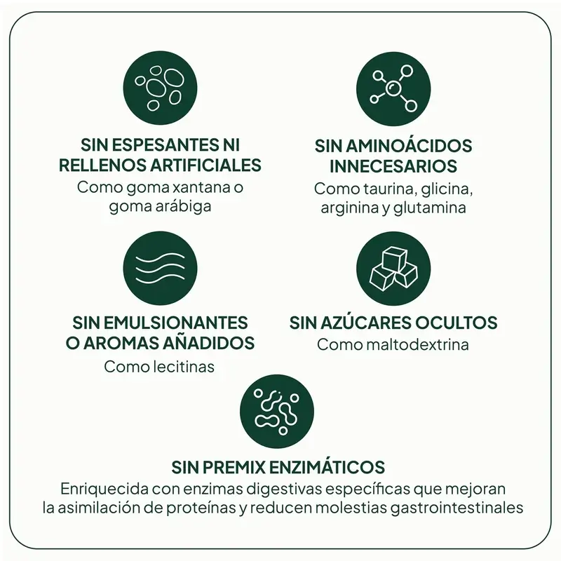 Ivb Wellness Lab Proteina Vegana, 500 gr