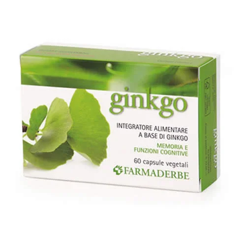 GINKGO BILOBA 60 CAPSULE