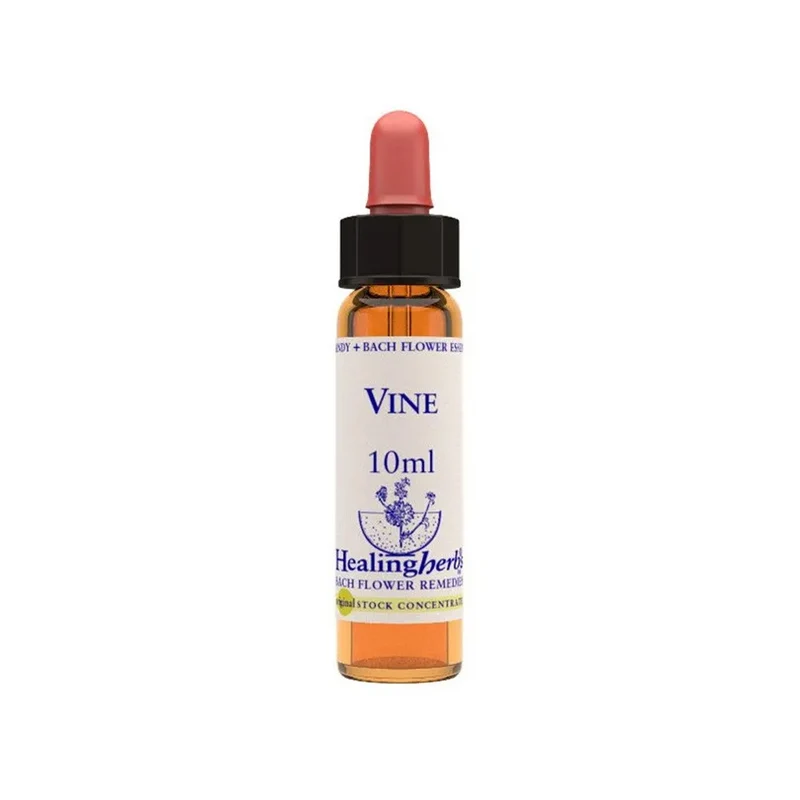 Vine