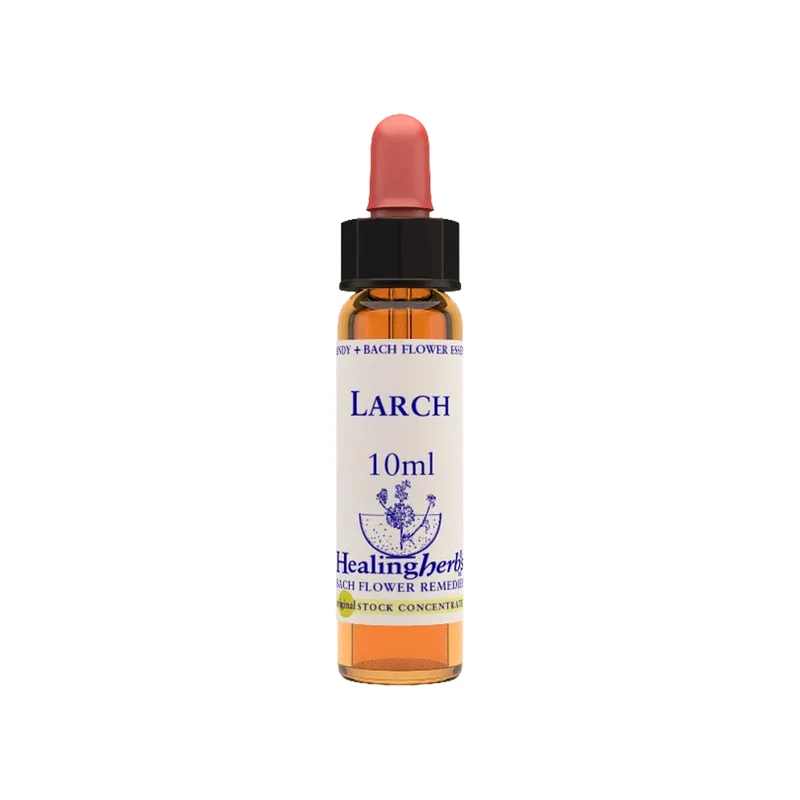 Larch