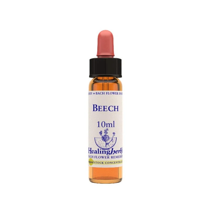 Beech