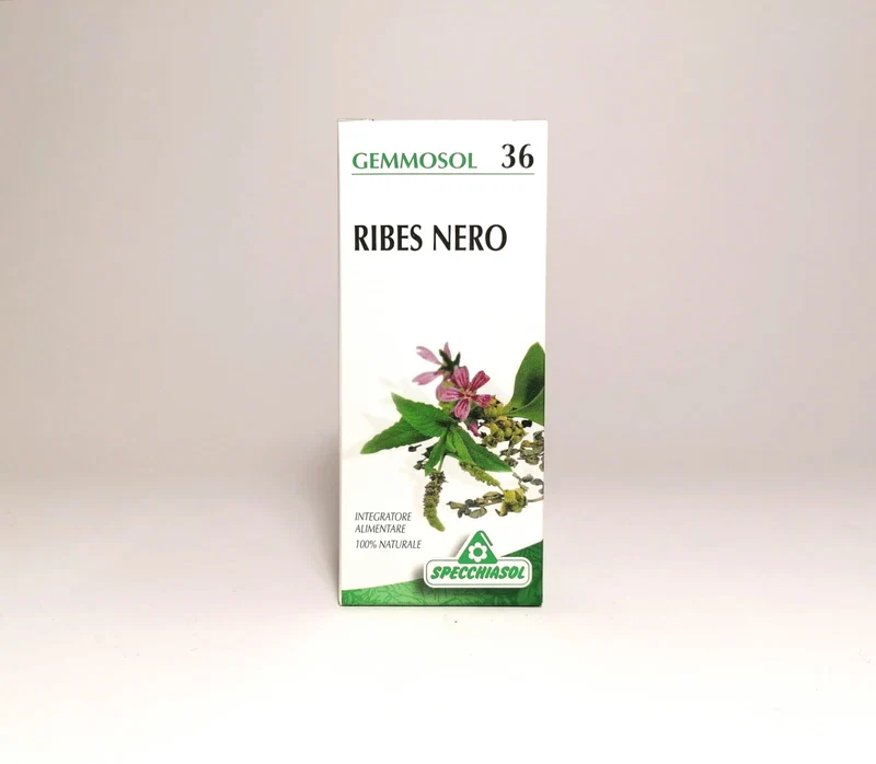 Ribes Nero Gemmoderivato 36 50 ml Specchiasol