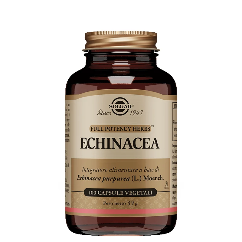 Echinacea