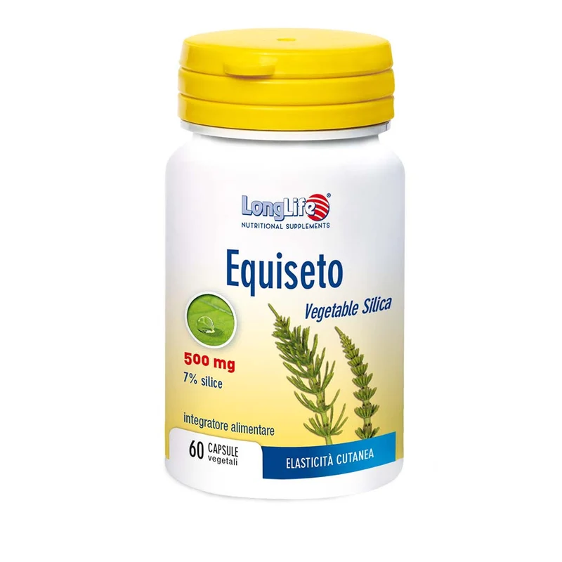 Equiseto