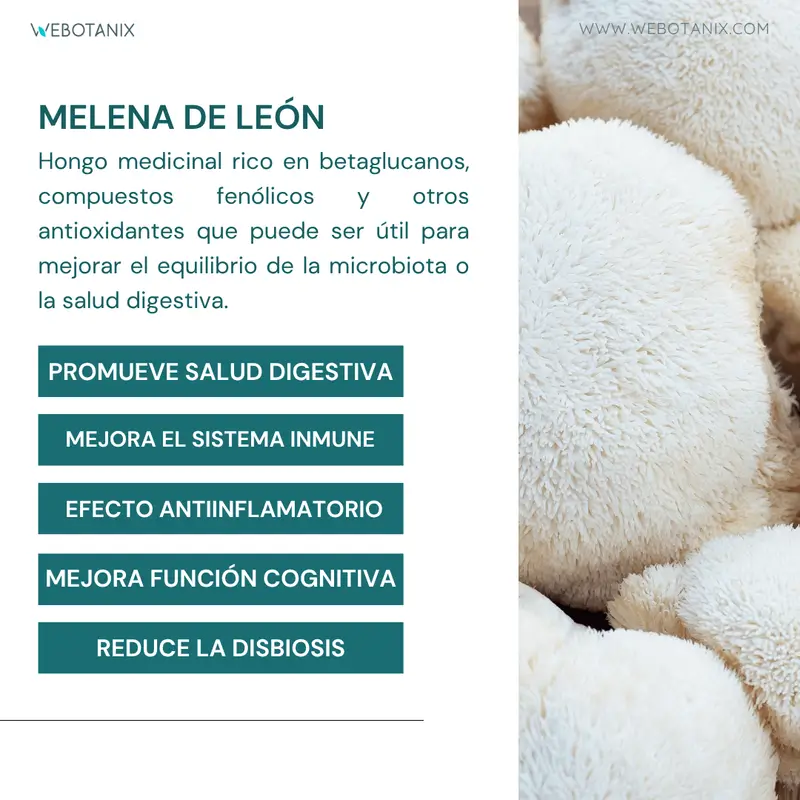 Webotanix Probiotax Microbiota, 60 cápsulas