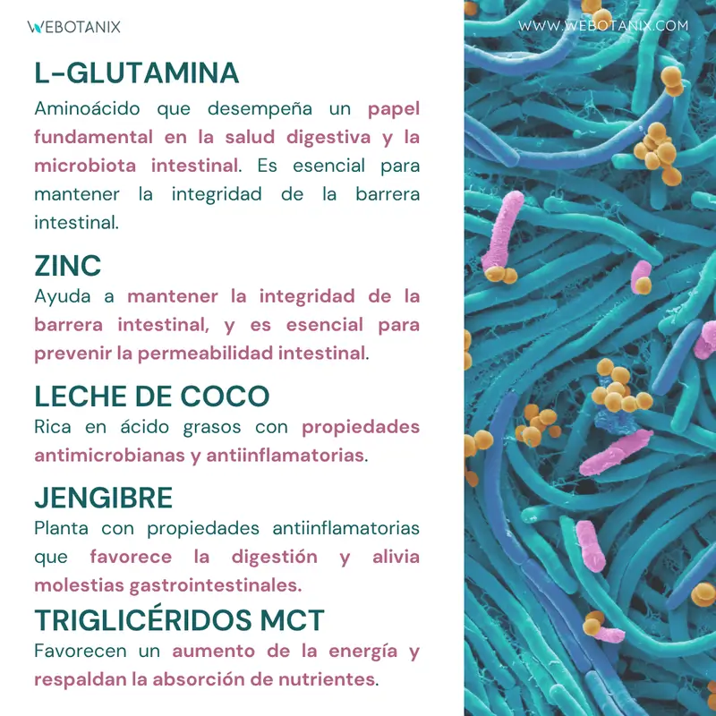 Webotanix Probiotax Microbiota, 60 cápsulas