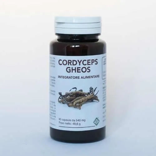 CORDYCEPS GHEOS 90 CAPSULE DA 540 MG