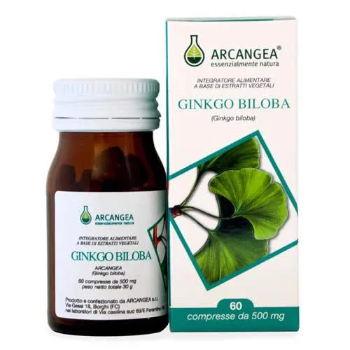 GINKGO BILOBA 60 CAPSULE 500 MG