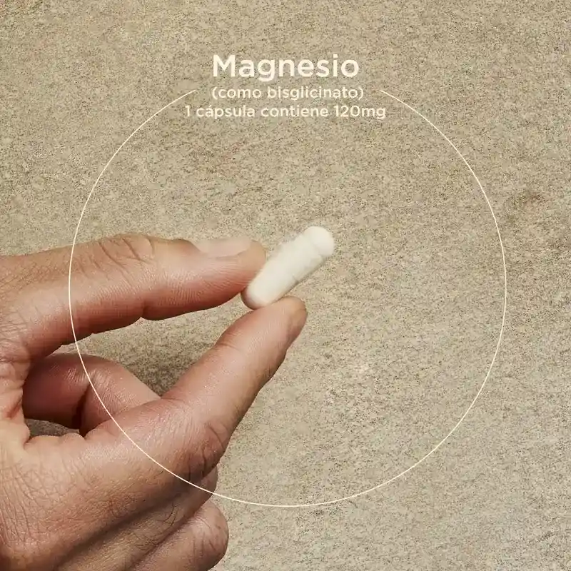 Solgar Magnesio Bisglicinato, Pack 3 x 60 Cápsulas Vegetales