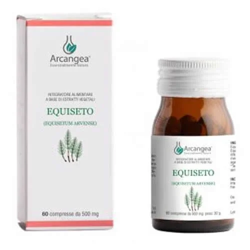 EQUISETO 60 CAPSULE 500 MG
