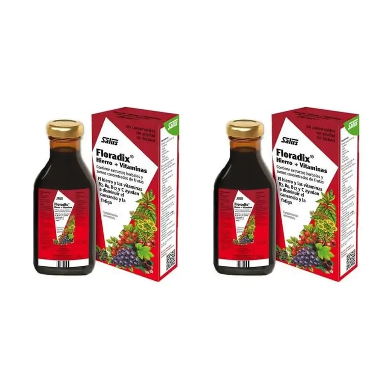 Floradix Floradix Hierro + Vitaminas, Pack De 2X500 Ml