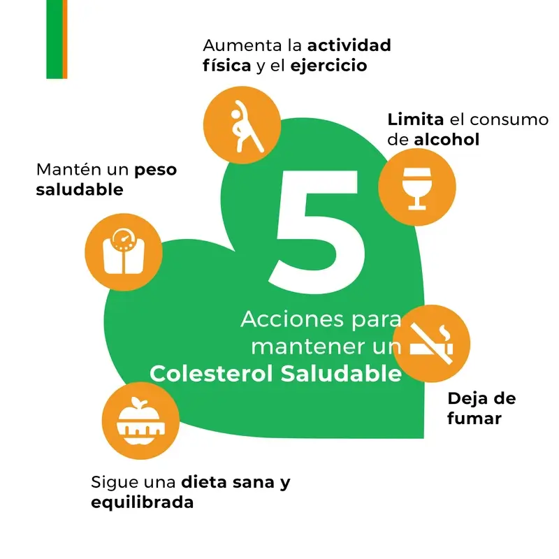 Armolipid Colesterol Plus, 3 x 20 comprimidos